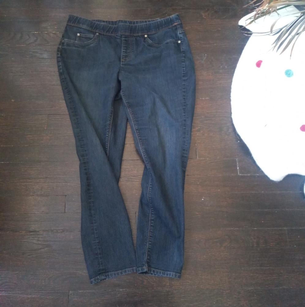 Two By Vince Camuto Blue Woman Pull On Jeans Size 16W Pockets Outdoor Causal